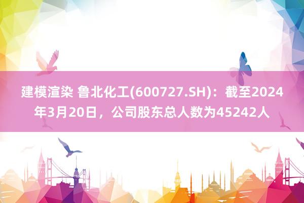 建模渲染 鲁北化工(600727.SH)：截至2024年3月20日，公司股东总人数为45242人