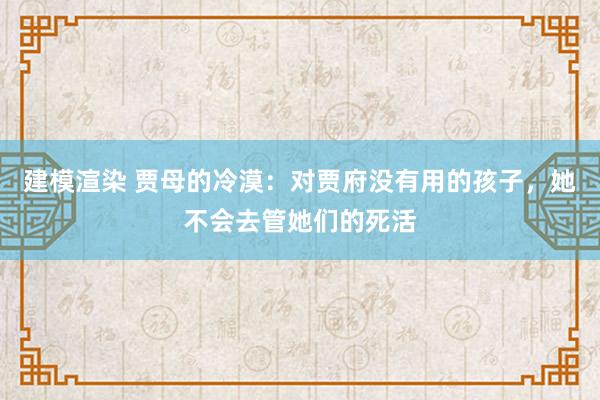 建模渲染 贾母的冷漠：对贾府没有用的孩子，她不会去管她们的死活