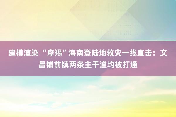 建模渲染 “摩羯”海南登陆地救灾一线直击：文昌铺前镇两条主干道均被打通